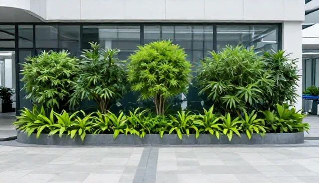 土壤湿度对绿化养护效果的影响原因